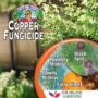 Liquid Copper Fungicide Spray – Bonide – 16 oz